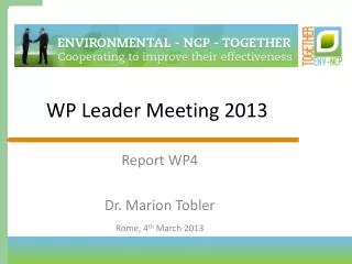 WP Leader Meeting 2013
