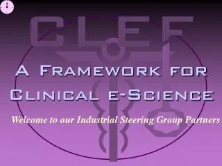 A Framework for Clinical e-Science