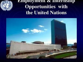 Employment &amp; Internship Opportunities with the United Nations