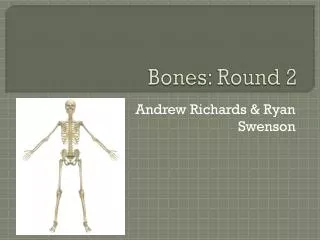 Bones: Round 2