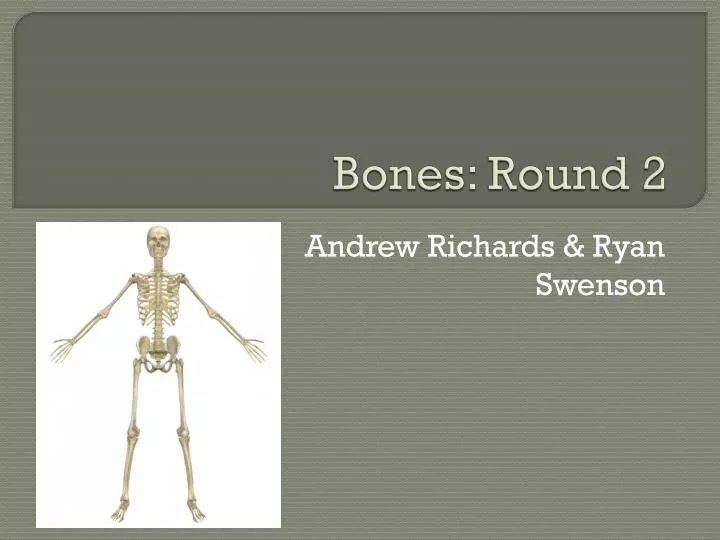 bones round 2