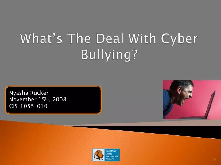 what s the deal with cyber bullying