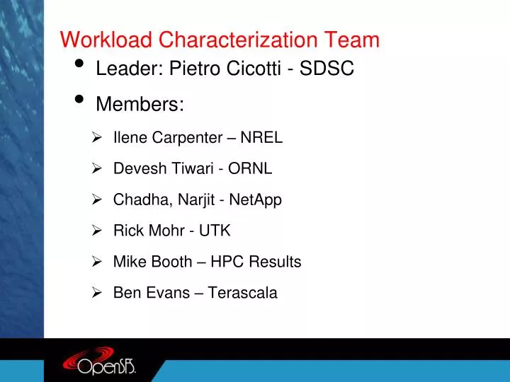 workload characterization team