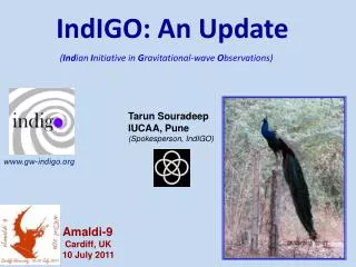 IndIGO: An Update