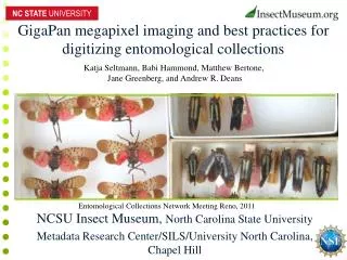 GigaPan megapixel imaging and best practices for digitizing entomological collections