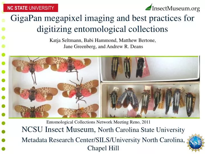 gigapan megapixel imaging and best practices for digitizing entomological collections