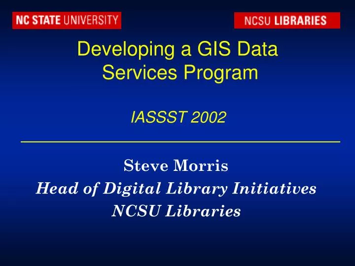 developing a gis data services program iassst 2002