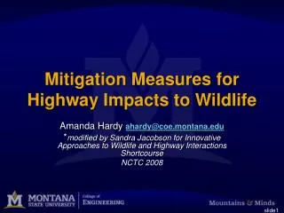 Mitigation Measures for Highway Impacts to Wildlife