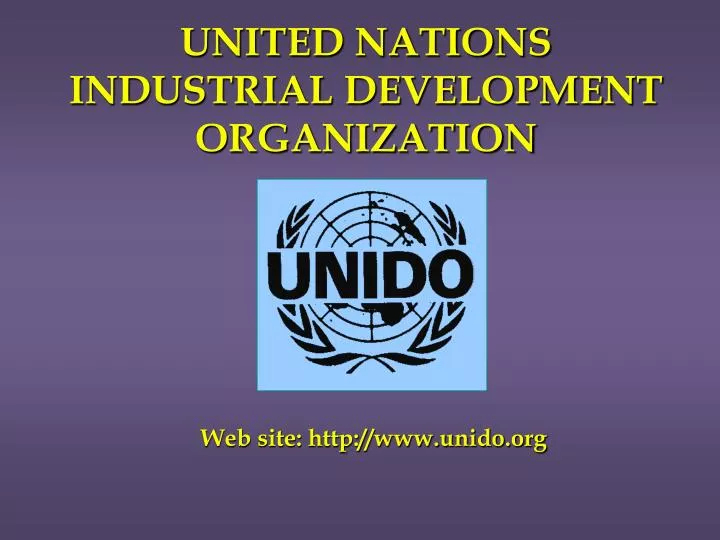 united nations industrial development organization