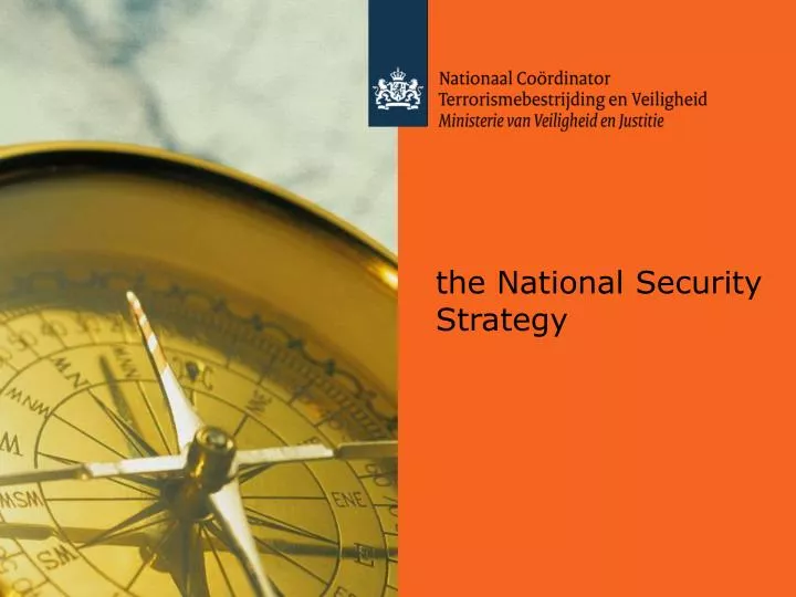 the national security strategy