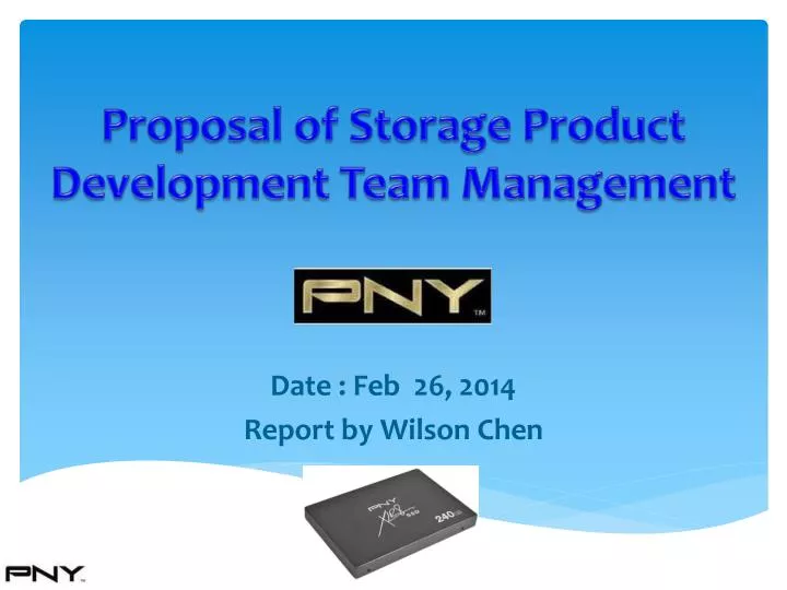 proposal of storage product development team management