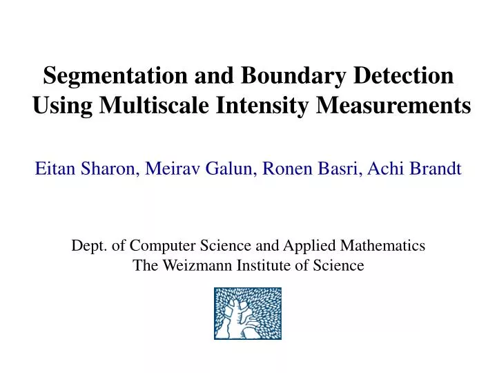 segmentation and boundary detection using multiscale intensity measurements