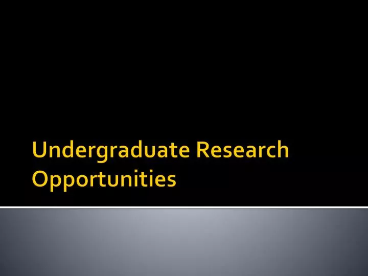 undergraduate research opportunities