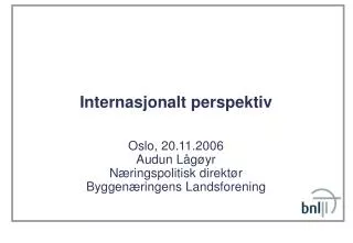 internasjonalt perspektiv