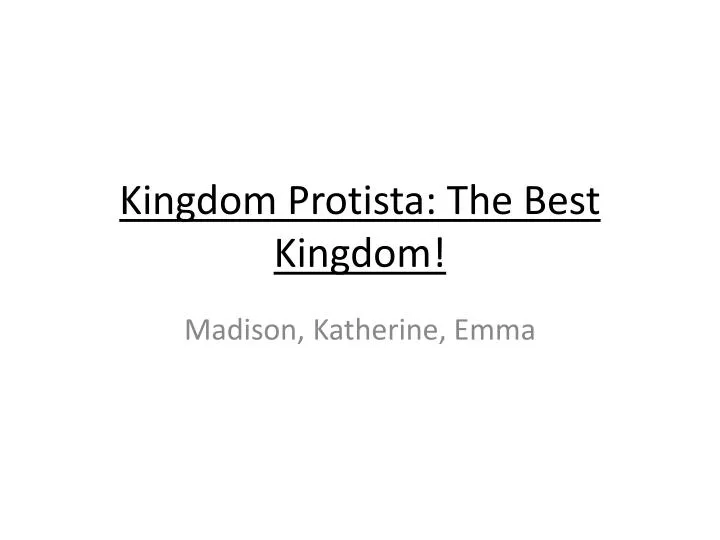 kingdom protista the best kingdom
