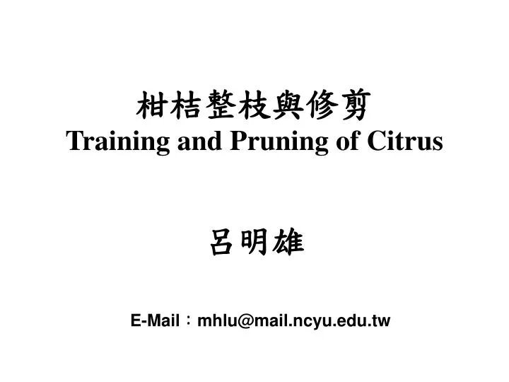 training and pruning of citrus