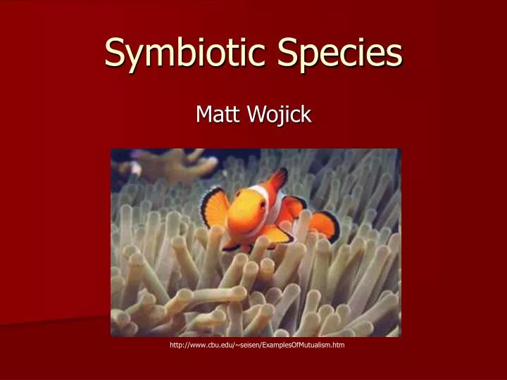 symbiotic species