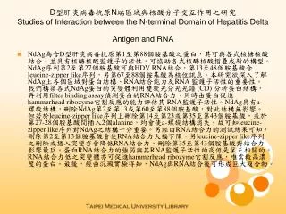 d n studies of interaction between the n terminal domain of hepatitis delta antigen and rna