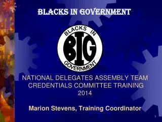 BLACKS IN GOVERNMENT