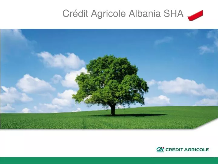 cr dit agricole albania sha