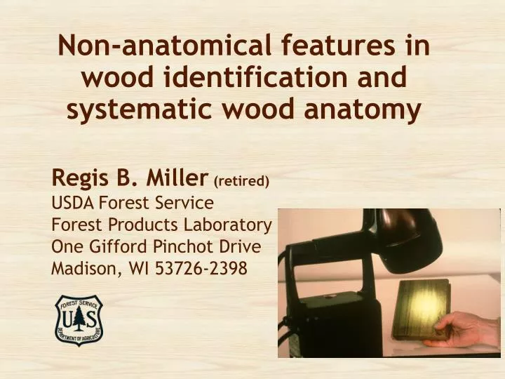 non anatomical features in wood identification and systematic wood anatomy