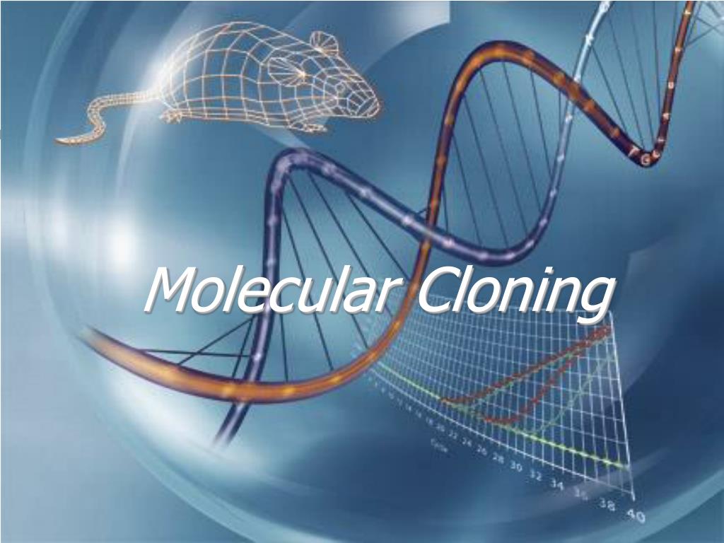 PPT - Molecular Cloning PowerPoint Presentation, free download - ID:4415370