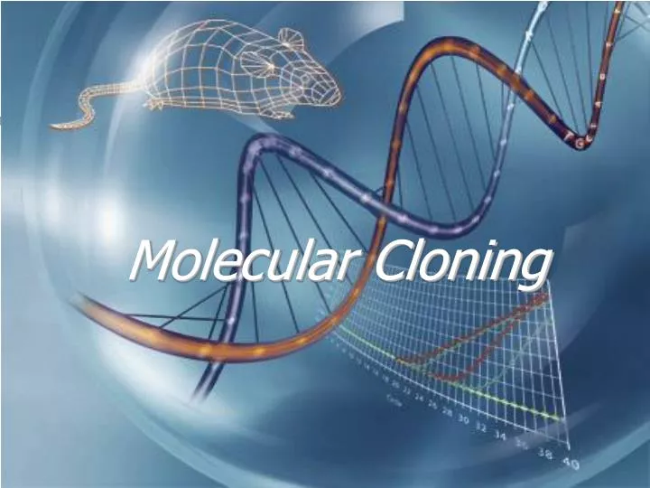 molecular cloning