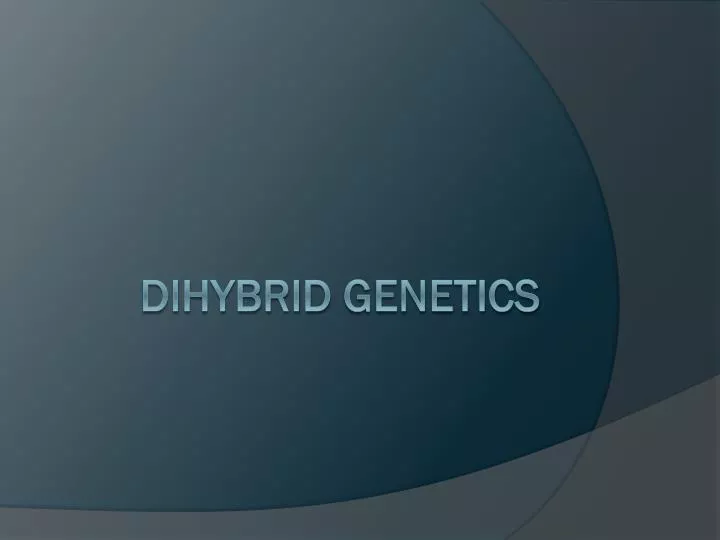 dihybrid genetics