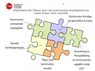 metodst d f r tillsyn ver de preciserade skyldigheterna samt tillsyn ver resultat