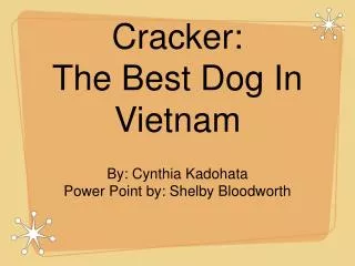 Cracker: The Best Dog In Vietnam