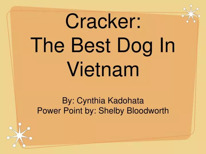 cracker the best dog in vietnam