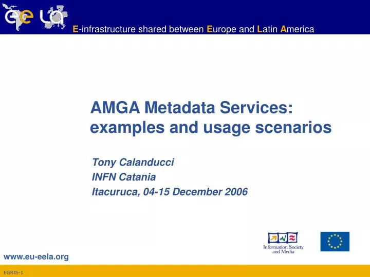amga metadata services examples and usage scenarios