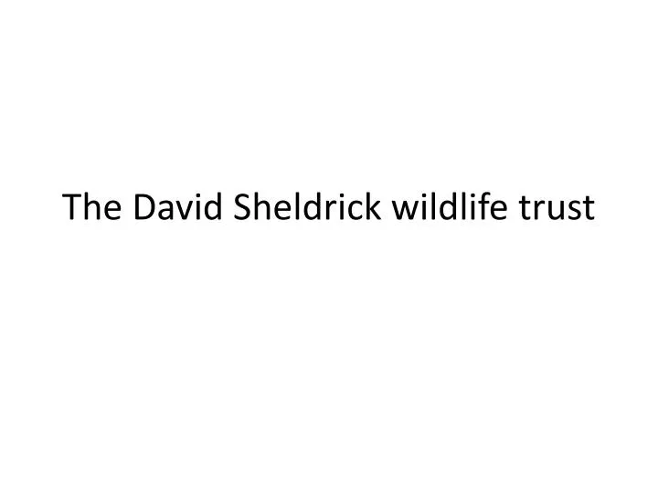 the david sheldrick wildlife trust