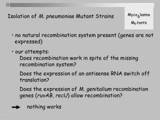 no natural recombination system present (genes are not expressed) our attempts: