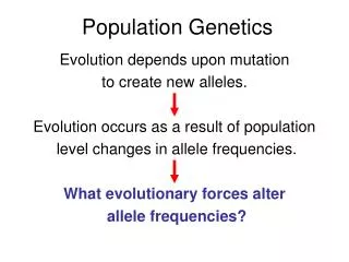 Population Genetics