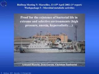 BioDeep Meeting V: Marseilles, 13-15 th April 2002 (1 st report)