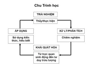 chu tr nh h c