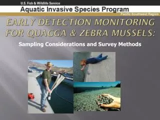 Early Detection Monitoring for Quagga &amp; Zebra Mussels :