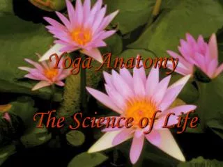 Yoga Anatomy The Science of Life