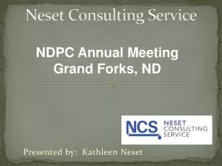Neset Consulting Service
