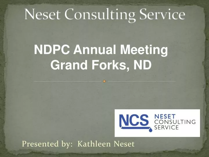 neset consulting service