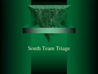 South Team Triage