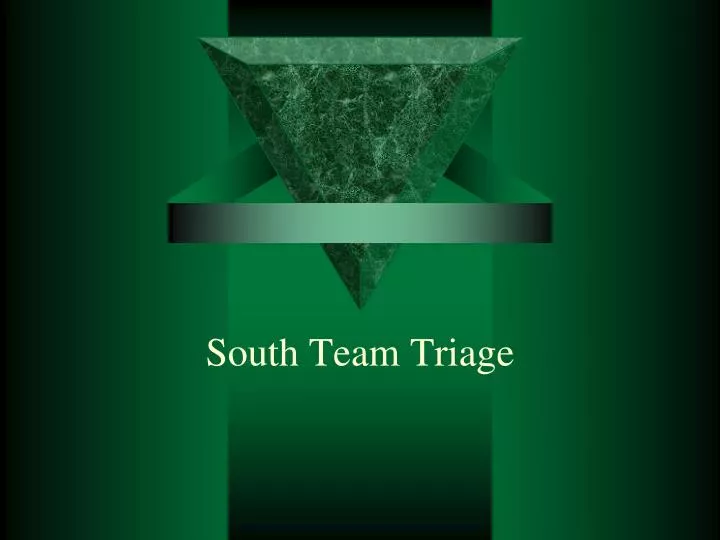 south team triage