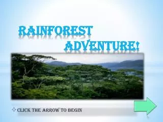 Rainforest 						Adventure!