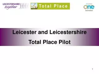 Leicester and Leicestershire Total Place Pilot