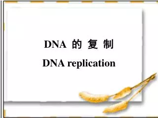 DNA ? ? ? DNA replication