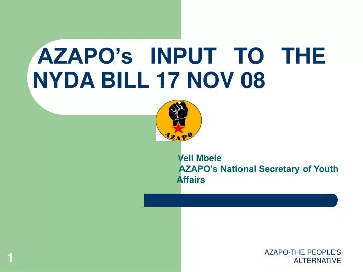 azapo s input to the nyda bill 17 nov 08