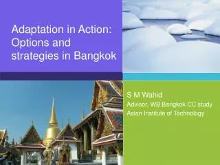 Adaptation in Action: Options and strategies in Bangkok