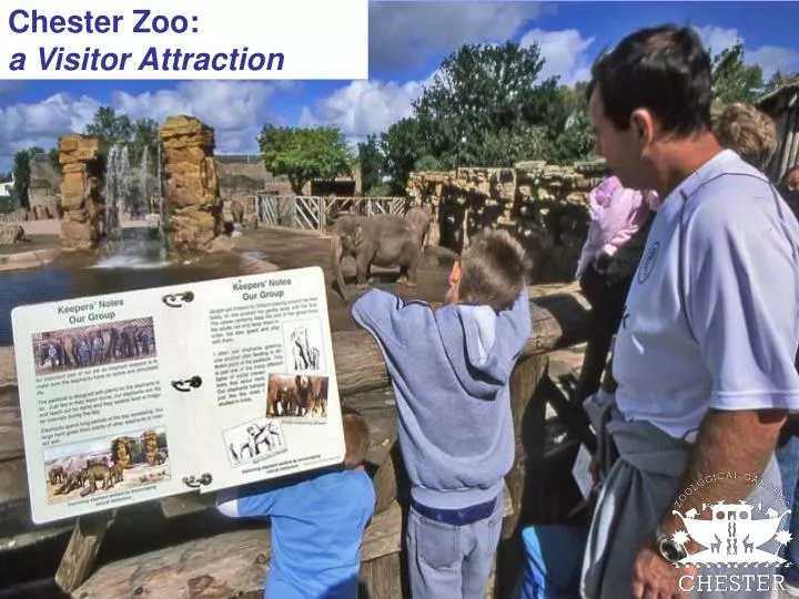 chester zoo a visitor attraction