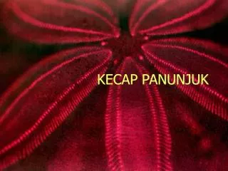 kecap panunjuk